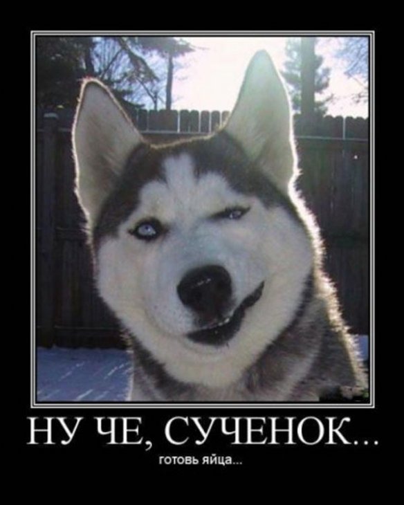 Ананист-Легенда