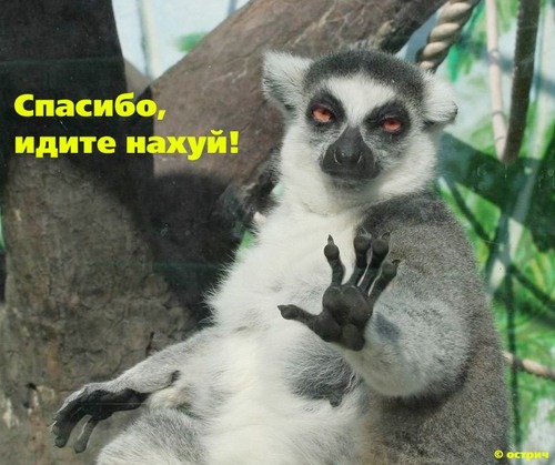 не девачка(с мАсквы)