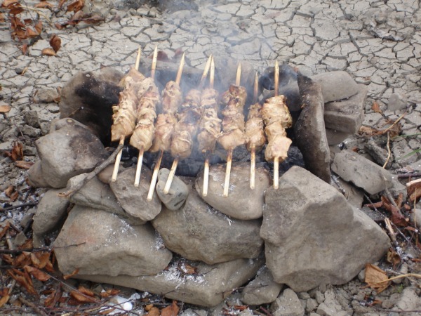 даитель изнуренных жаб