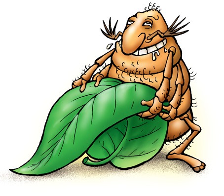 Шланг. атруби сибе пальтсы!!!