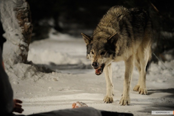 kinopoisk.ru-Frozen-1198860[1]