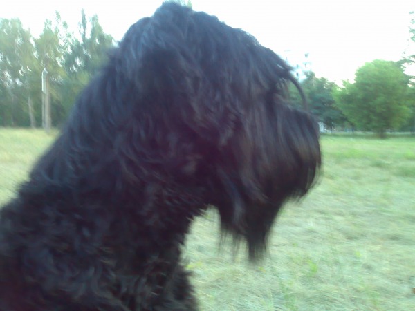 подкрадусь и выебу!!