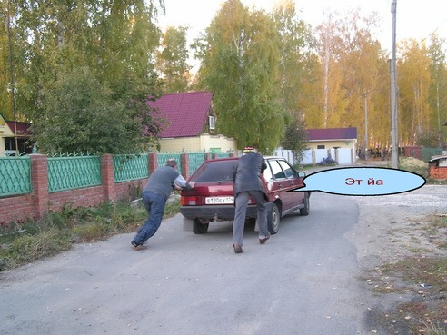 Кот (да винчи)