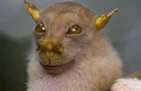 ПРОСТО ГЕНИЙ