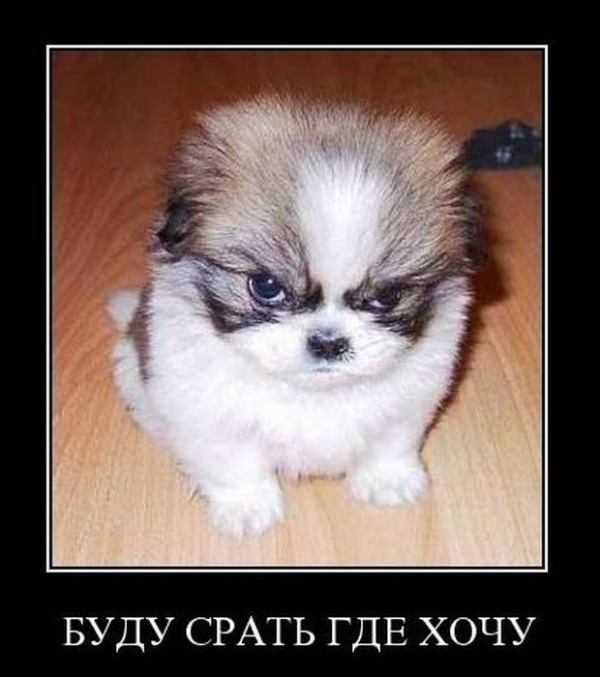 упитый_up_стену