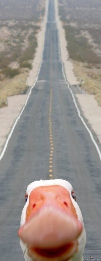 Тот самый!!!