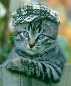 Мудильнечег