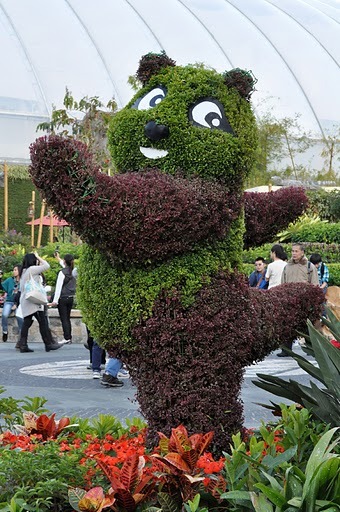 Йожыг отжыгающий