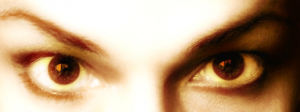 САламаНДРА