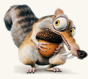 Бешеная белка