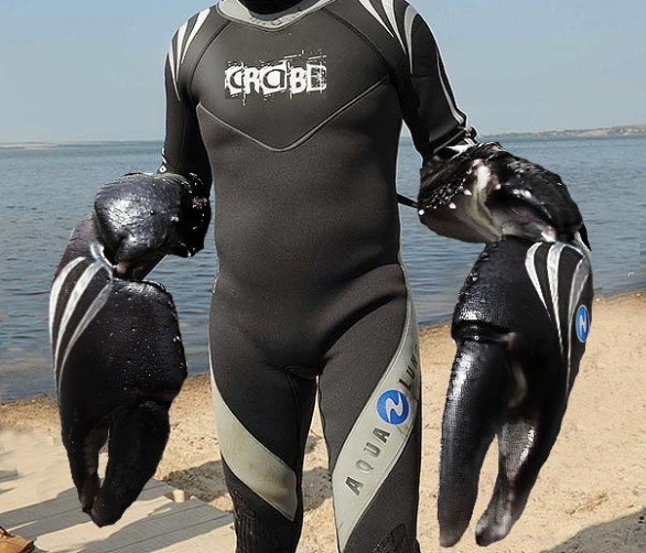 Гацкий папо Карло