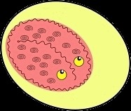 Мозг Дядюшки Дениса