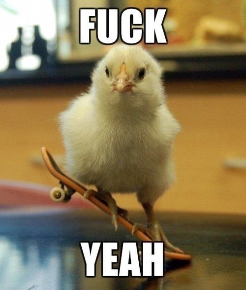 ходячийлысыйхер