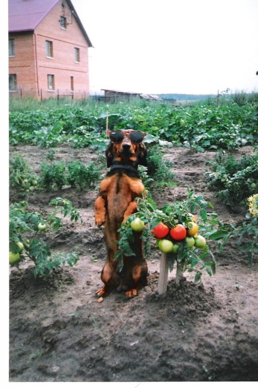 МэрБабруйска