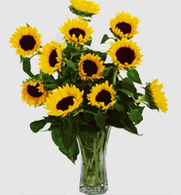 Дездемона Таврическая