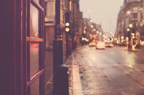 Голландская овчарка