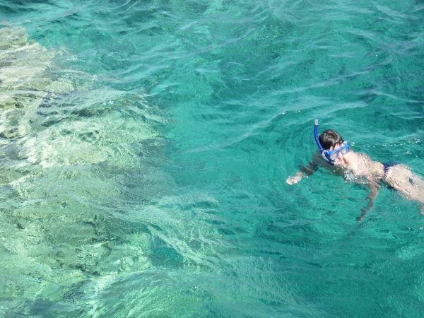 Старый падонаг