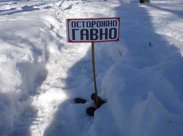 примус починяю