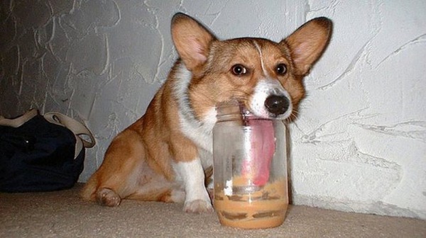 одинокий весёлый и приятный мужчина-шутник