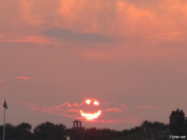 Зингершухер