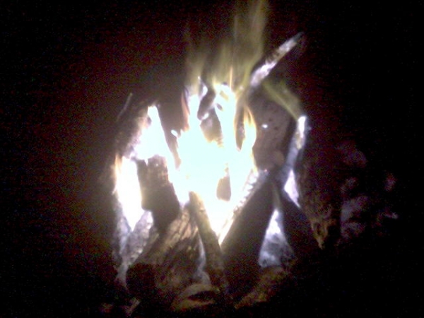 Земляной червяГ