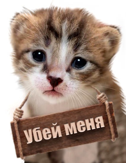 Шкалик Рихтера