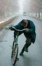 Гризли Сушеный