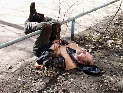 Пьяный дендролог