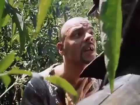 Бай Трахула