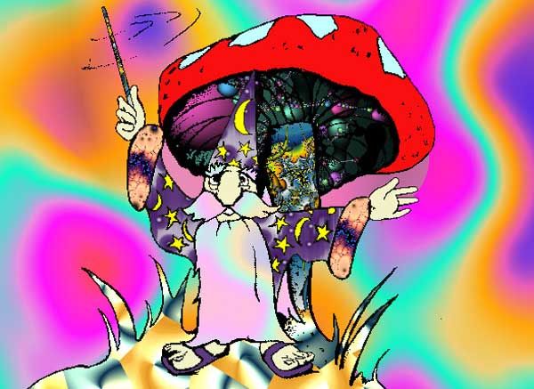 Мухоморы - это прекрасно!