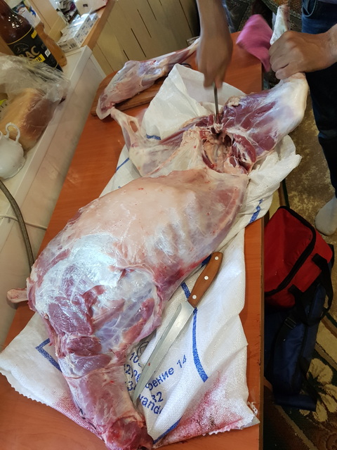 Фото 26 верт_2