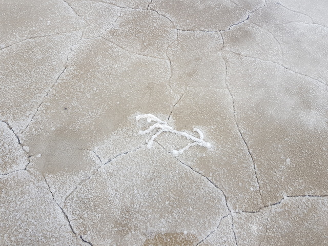 Фото 29 гориз_2