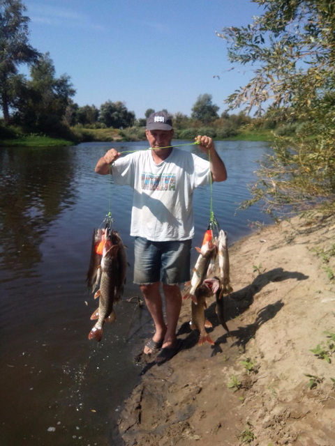 Фото 41 верт_2