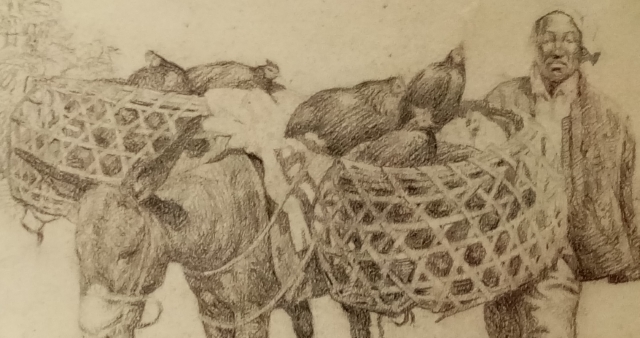 25_Гавон промежуточный