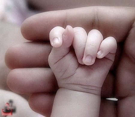 Ножки БУША!