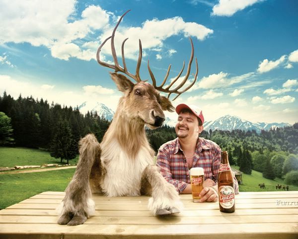 Севирный Алень