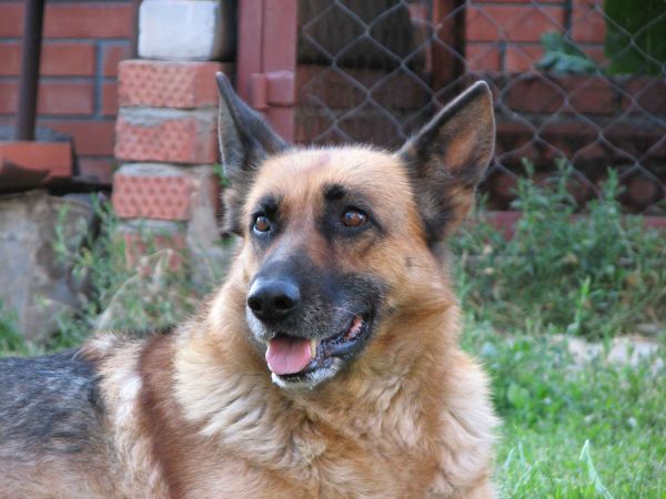 cолдат вермахта