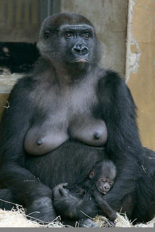 Мальчег-Хуйланчег