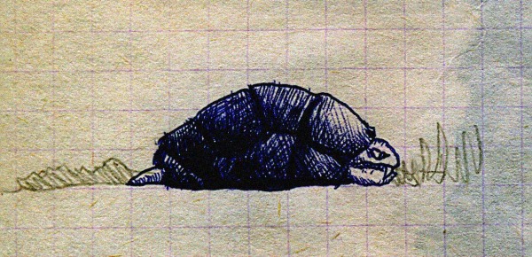 0447043504400435043F04300445043E