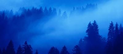 трактарист гриша