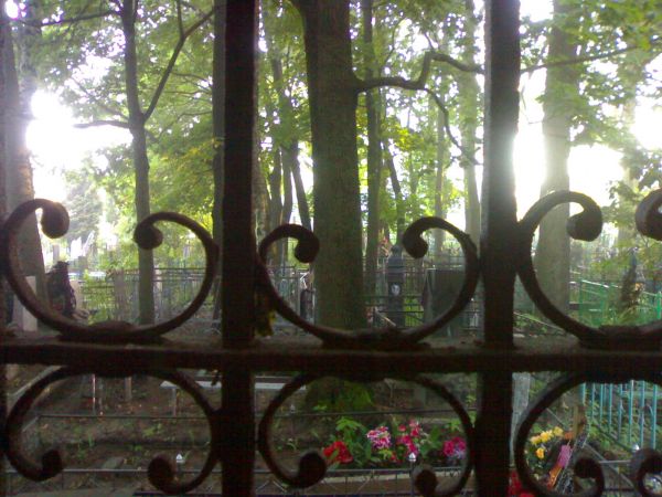 Крепкий старик Розенбом