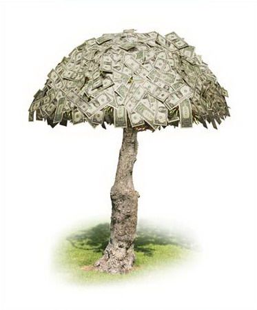 Ацкий грипник