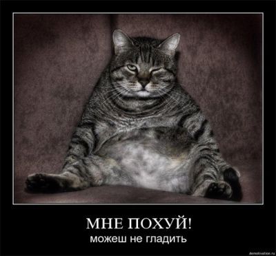 В рыло может?