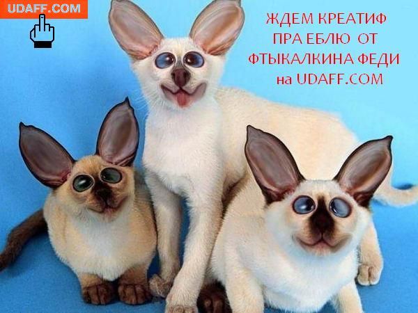 Фтыкалкин Федя