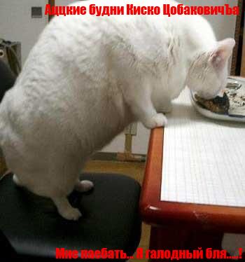 Киско ЦобаковичЪ