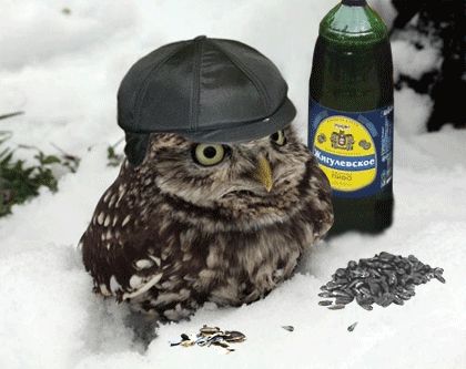 Анальный ингалятор