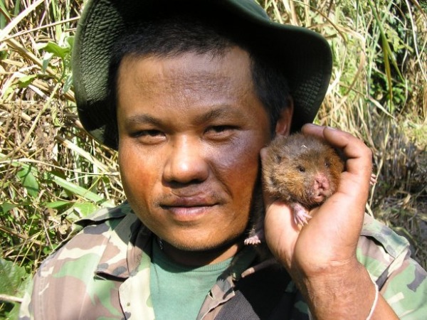 фото бригадир Ле