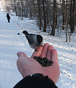Нахком Троцкий